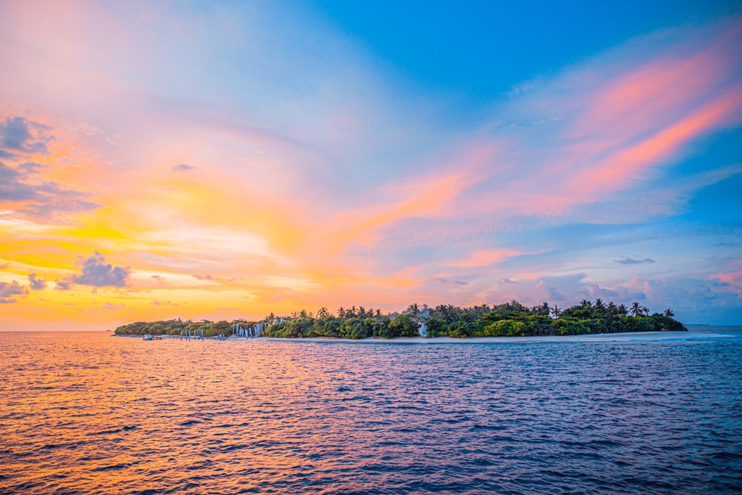 jasa tambah followers ig