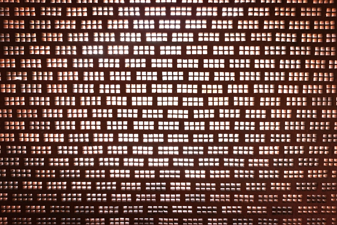 panel followers instagram