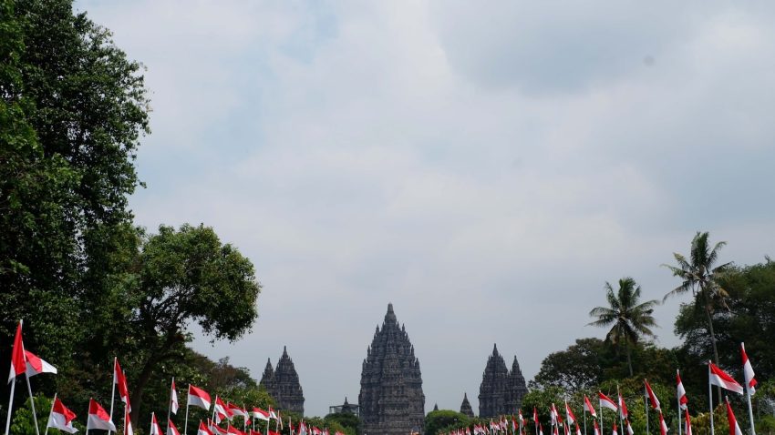 Mengenal panelsmmindonesia: Panduan Singkat